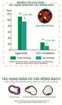 Su-that-ve-cong-dung-cua-tinh-dau-thong-do-Han-Quoc