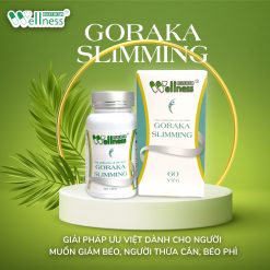 Thực phẩm bảo vệ sức khỏe Gokara Slimming